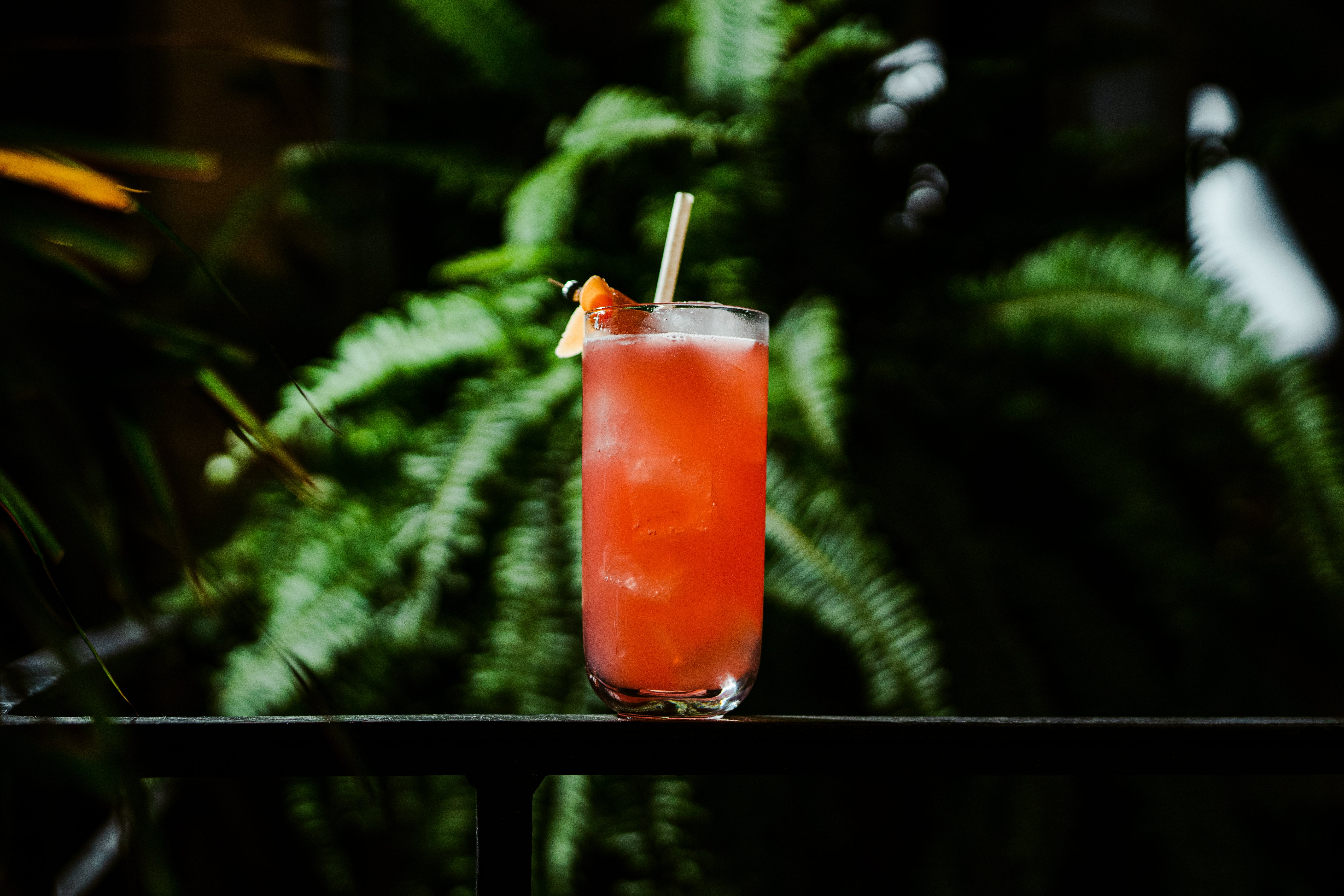 Bauhaus 12.75 oz. Hi Ball