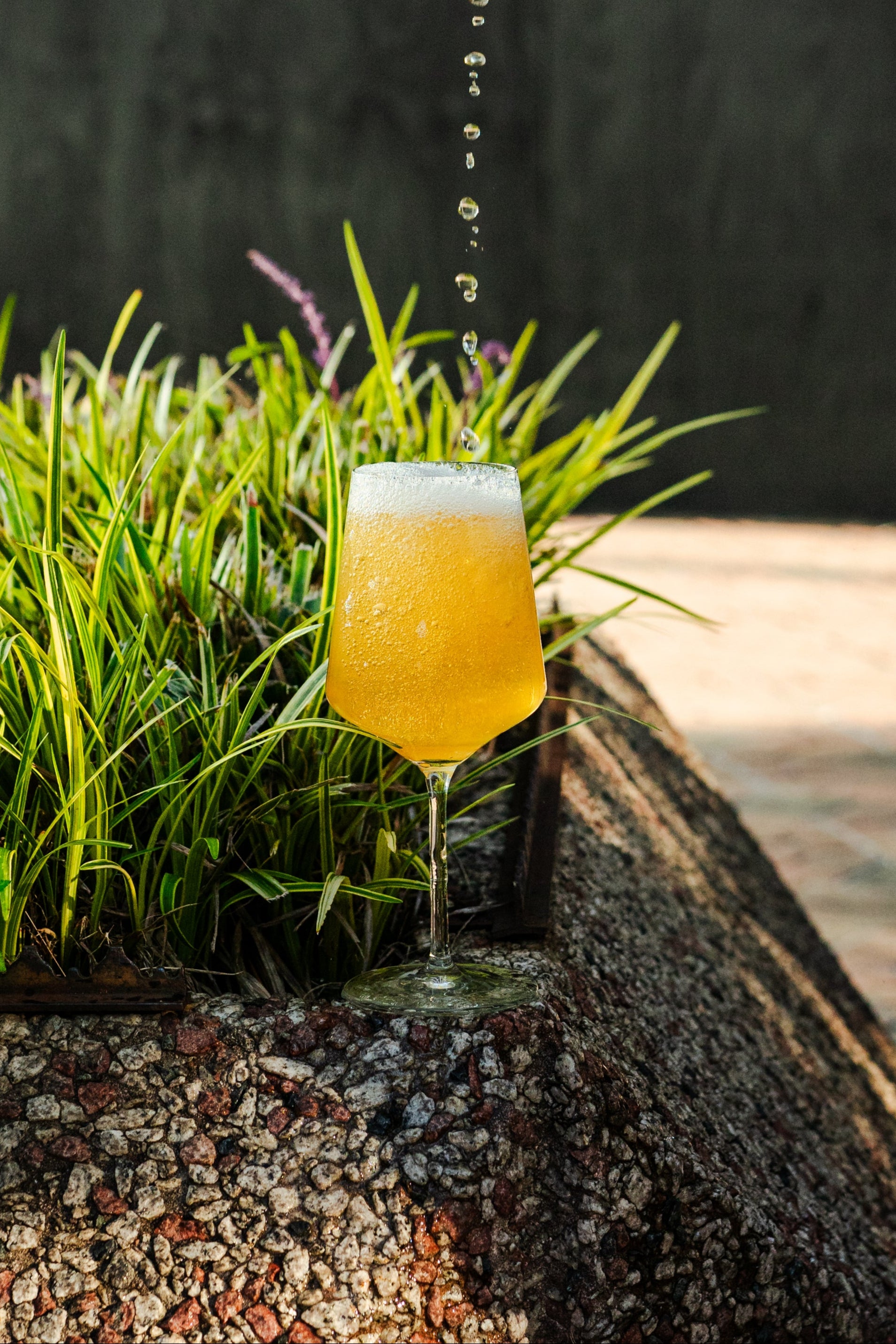 Ariana 19 oz. Red Wine