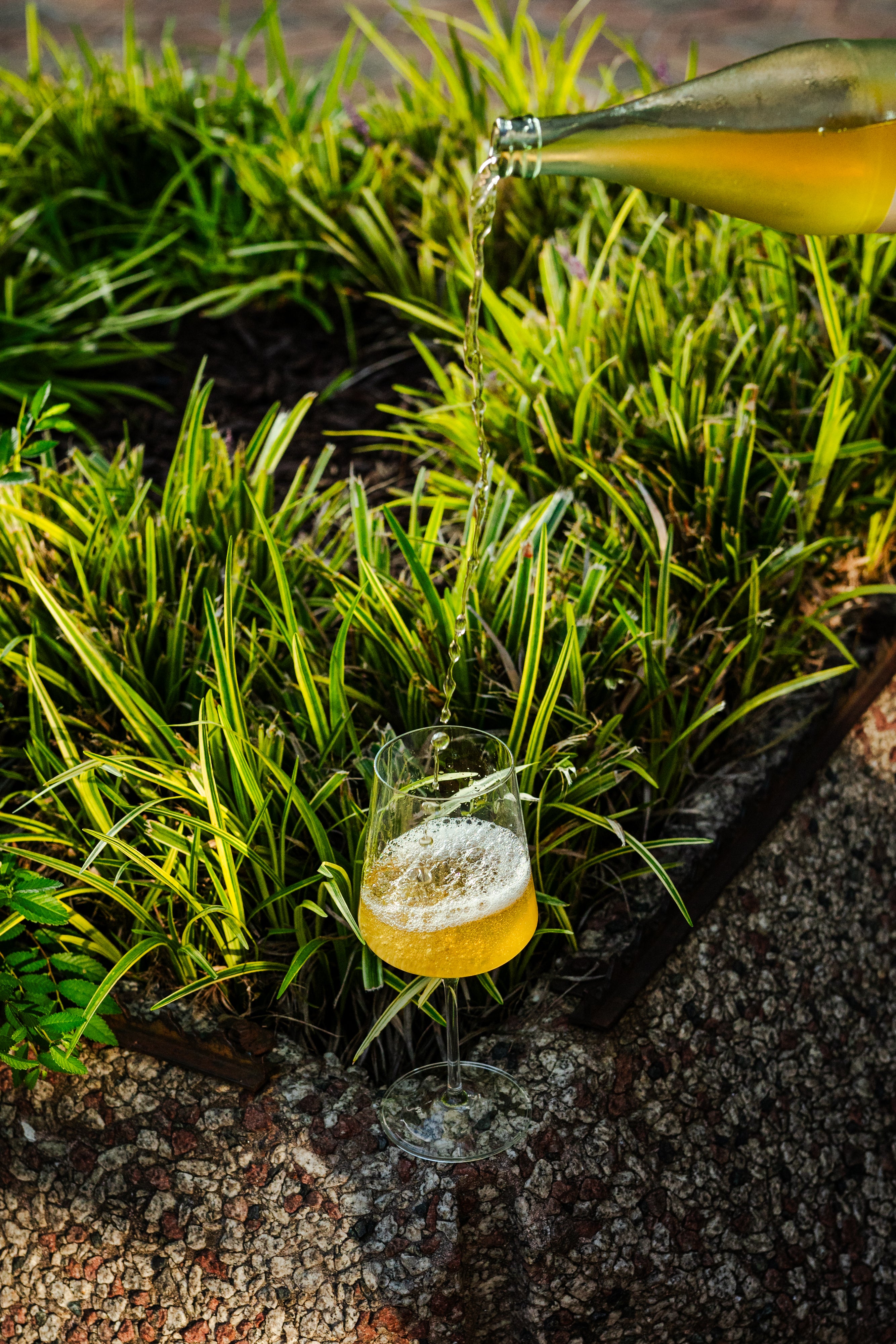 Ariana 19 oz. Red Wine