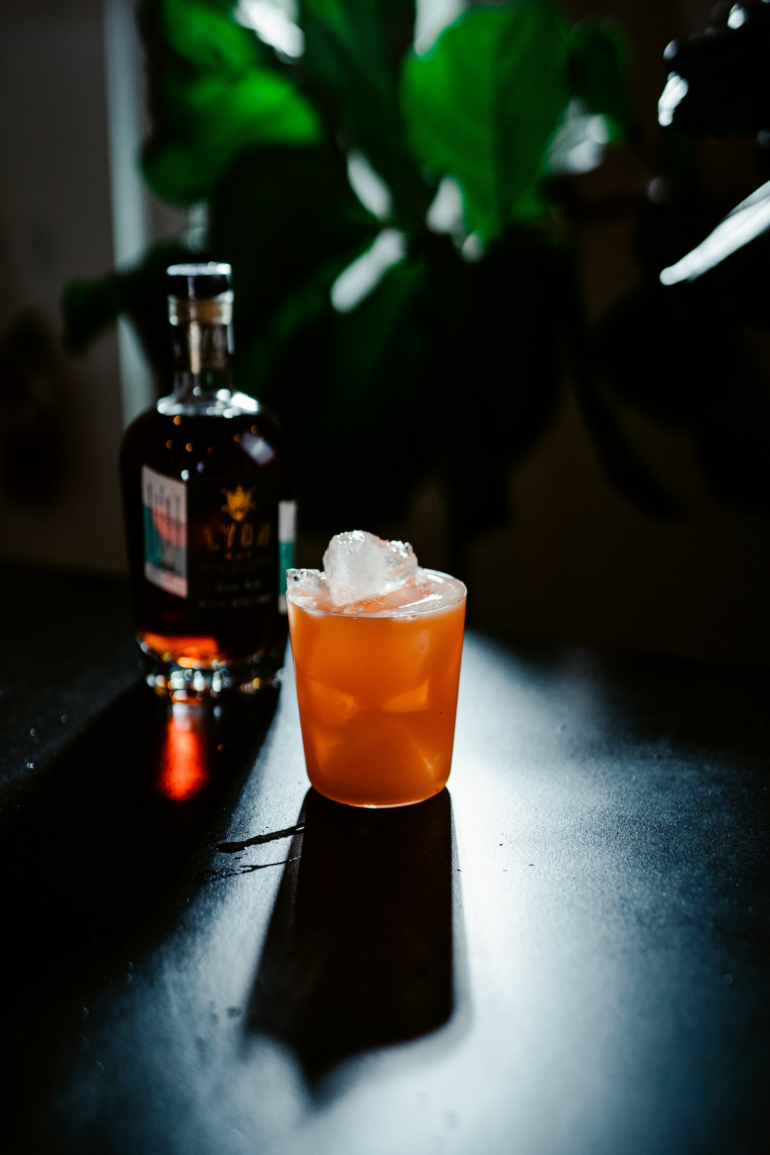 Muse 13.75 oz. Double Old Fashioned